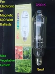 600W Metal Halide Conversion Grow Light Lamp Hps Mh Bulb Vegetative 7200K. Fixed Price $34.20.