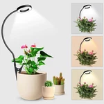 Wolezek 2 1 Grow Lights For Indoor Plants, 3 Colors. Fixed Price $28.02.