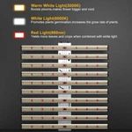 Phlizon 800W 10 Bars Full Spectrum Samsung Led Grow. Fixed Price $150.00.