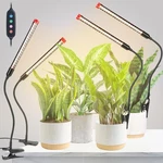 4PACK 2-IN-1 Small Clip Grow Lights For Indoor Plants, Bonsai, Succulent, Cac.... Fixed Price $46.25.