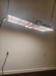 Spider Farmer 240W Led Grow Light Panel Fixture W/ Driver & Power Cord. Fixed Price $115.50.