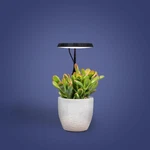 Aerogarden Stem Grow Light - Black. Fixed Price $15.99.