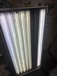 Sun Blaze 48 T5 Ho 4FT 8-LAMP 120V Grow Light Fixture Used. Fixed Price $150.00.