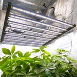 Phlizon FD6500 FD4500 Led Grow Light Full Spectrum Hydroponics For Indoor Plants. Fixed Price $689.59.