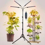 4HEAD Grow Light With Stand For Tall Indoor Plants, Bonsai Tree, Bright Full .... Fixed Price $38.04.