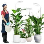 Wolezek Grow Lights For Indoor Plants Full Spectrum, 80 Leds 3 Colors, 65IN L.... Fixed Price $65.99.