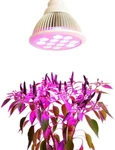 Indoor Plant Flowers Vegetables Led Grow Lights 12W Bulb For Hydroponic Pods. Fixed Price $15.80.