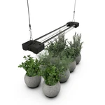 Dymond Boostgro Led Grow Full Spectrum Linkable 5000K Daylight 660NM Red. Fixed Price $34.55.
