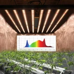 2025 Phlizon 640W Evo Led Grow Light W/samsung LM281B Commercial CO2 Indoor. Fixed Price $729.99.