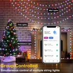 Lurious 300 Wifi Rgb Led String Lights. Fixed Price $29.99.