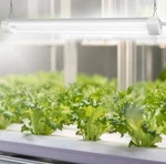 Feit Electric 46" 46W Led Grow Light 3-SPECTRUM W/ Remote 5 Pack Open Box. Fixed Price $139.99.