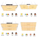 Spider Farmer SF1000 2000 4000 7000 Led Grow Light Full Spectrum For Tent. Fixed Price $319.99.