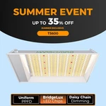 2026 New Dimmable Mars Hydro 600 100W Led Grow Light For Indoor Plants. Fixed Price $60.99.