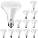 Energetic 12 Pack Led Recessed Light Bulbs BR30, 1100LUMENS, 85W Equivalent, .... Fixed Price $75.89.