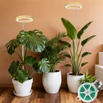 Grow Lights For Indoor Plants Full SPECTRUM,6.3" Led Wood Grain Li.... Fixed Price $46.27.