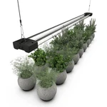 Dymond Boostgro Led Grow Full Spectrum 5000K Daylight + 660NM Red Linka.... Fixed Price $81.88.