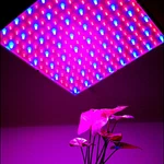 Hqrp Led Grow Light System 225 Red Spectrum Hydroponic Plant Flowers. Fixed Price $20.95.