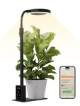 Glowrium Smart Led Grow Lights For Indoor Plants G4, 12W Full Spectrum 3500K .... Fixed Price $69.66.