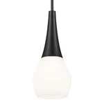 Kichler 52529 Deela 7"W Mini Pendant - Black. Fixed Price $183.99.