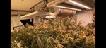 Chilled Growcraft X-6 1000W Light Huge Yields! Super Efficient! Usa Made. Fixed Price $1150.00.