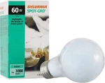 Pack Sylvania Spot-gro 60W 120V Grow Light With A19 Bulbs For Indoor Plants A4. Fixed Price $15.95.