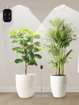 Indoor Plant Grow Lights With Timer, 2-HEAD 48W Full Spectrum Led, Dimmable. Fixed Price $115.99.
