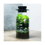 Desktop Glass Plant Terrarium With Grow Light (H:7.8" D:4"), Fo... Usa Fast Ship. Fixed Price $55.56.