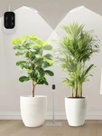 Glowrium Full Spectrum Led Grow Light For Indoor Plants, Dimmable, 48W, Timer. Fixed Price $115.18.