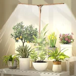 Bodkar Wooden Grow Lights For Indoor Plants 2--HEAD, No Timer, Wood+bamboo. Fixed Price $13.14.