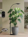 Glowrium Grow Lights For Indoor Plants, Full Spectrum Led Floor Lamp. Fixed Price $94.36.